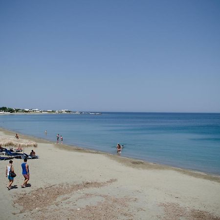 Georgias House Apartment Skyros Bagian luar foto